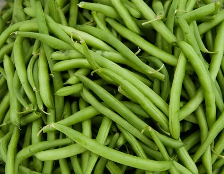 FAGIOLINI