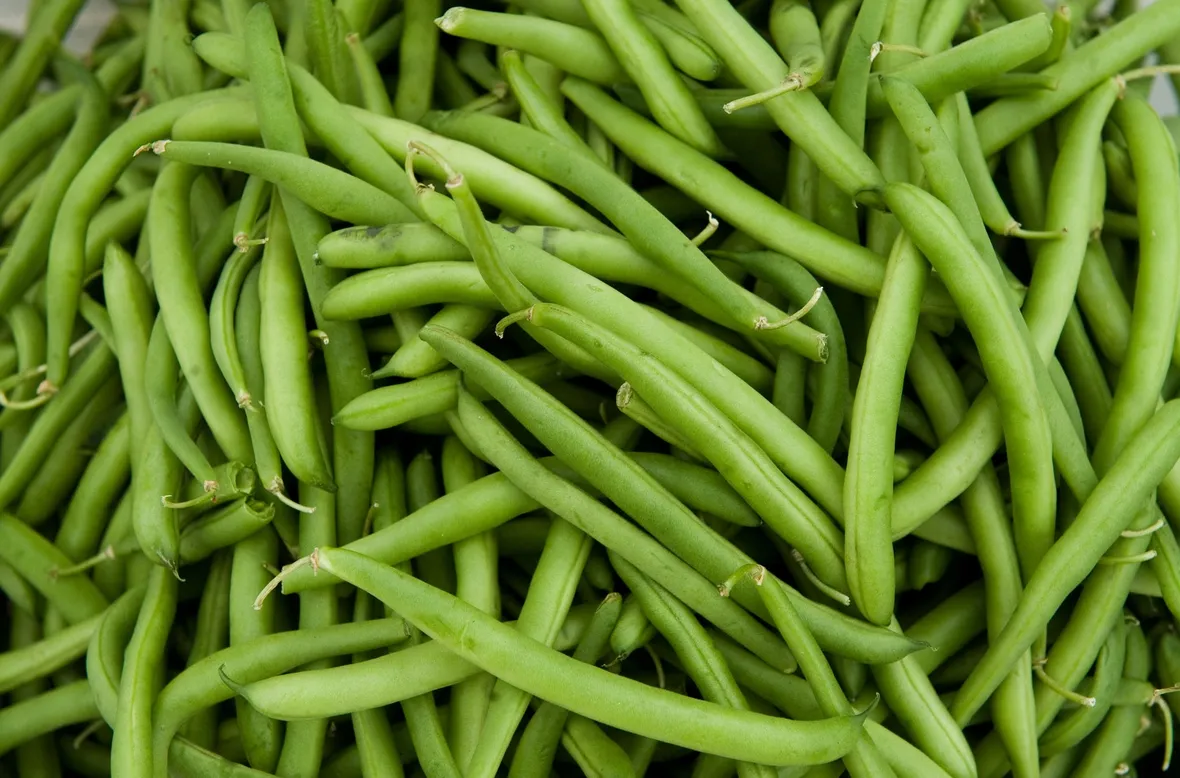 FAGIOLINI