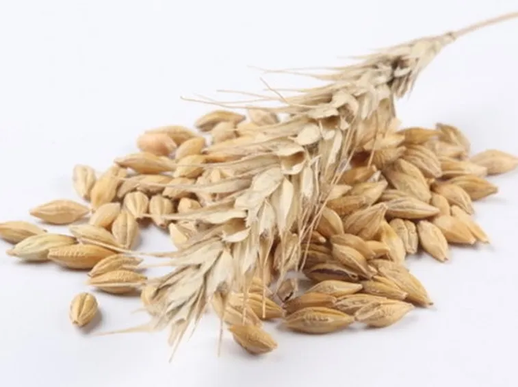Farina di avena