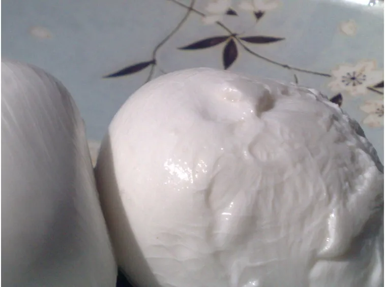 FIOR DI LATTE
