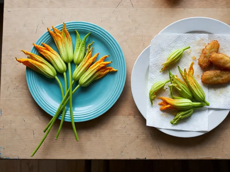 Fiori di zucca