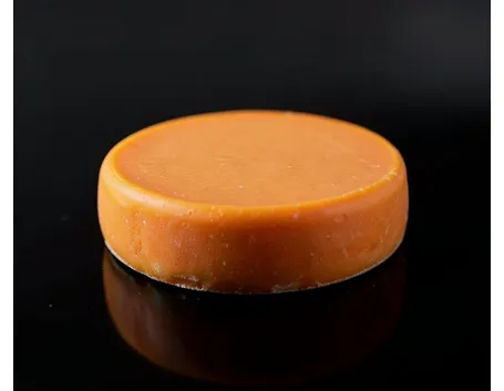Fontina