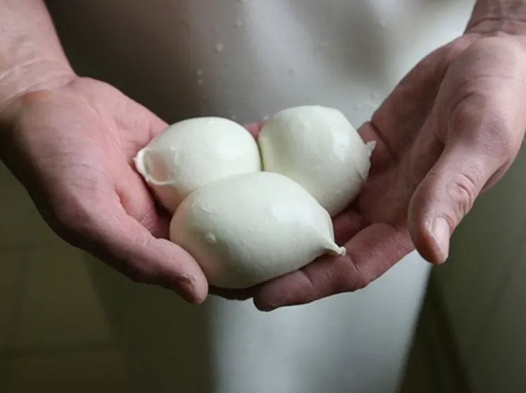 Latte di bufala