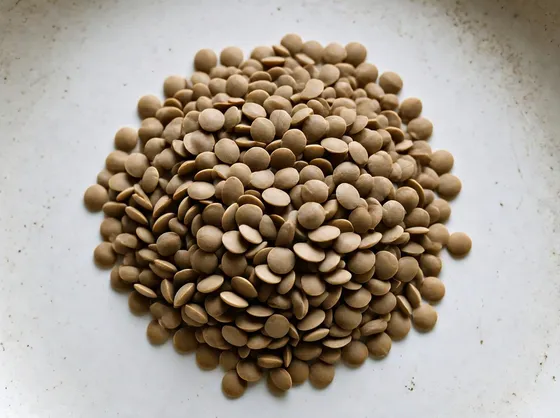 Lenticchie in scatola