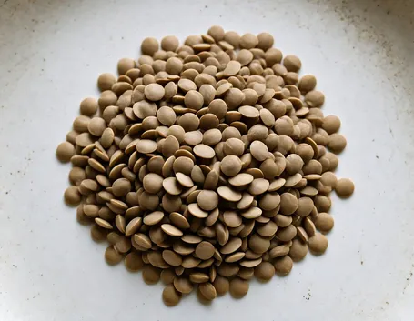 Lenticchie in scatola