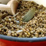Lenticchie secche