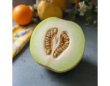 Melone d'inverno