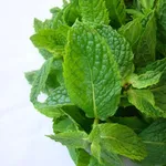 Menta fresca