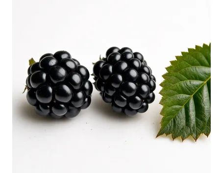 Mirtillo nero