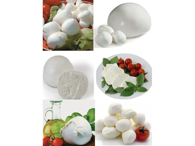 MOZZARELLA DI BUFALA