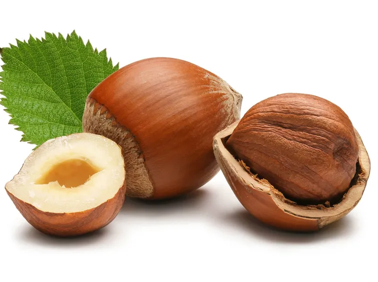 Nocciole