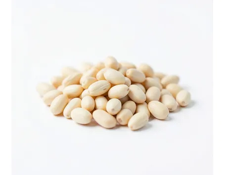 PINOLI