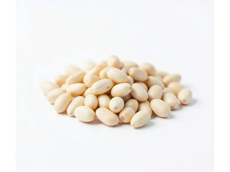 PINOLI
