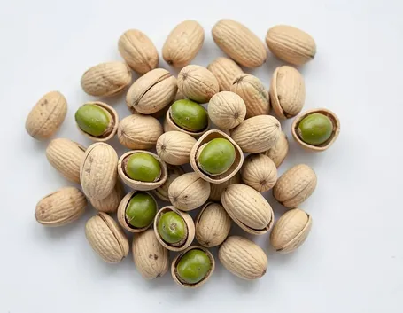 Pistacchi freschi