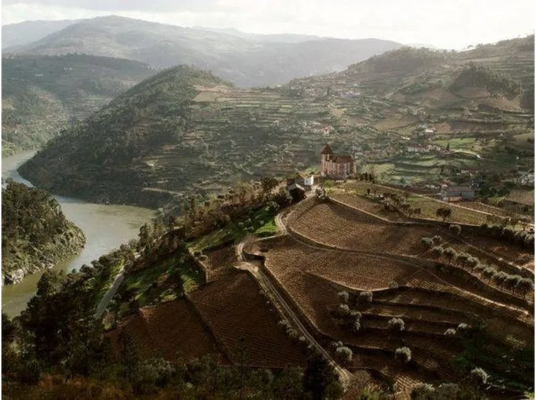 la regione del douro