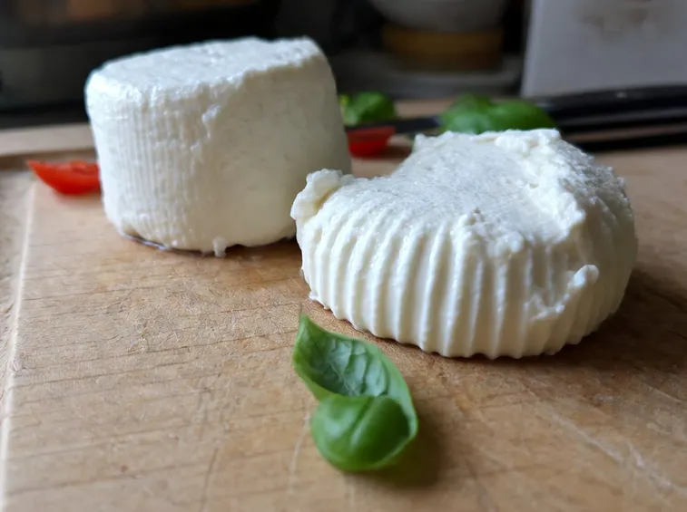 Ricotta di pecora