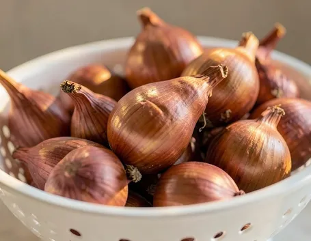SCALOGNO