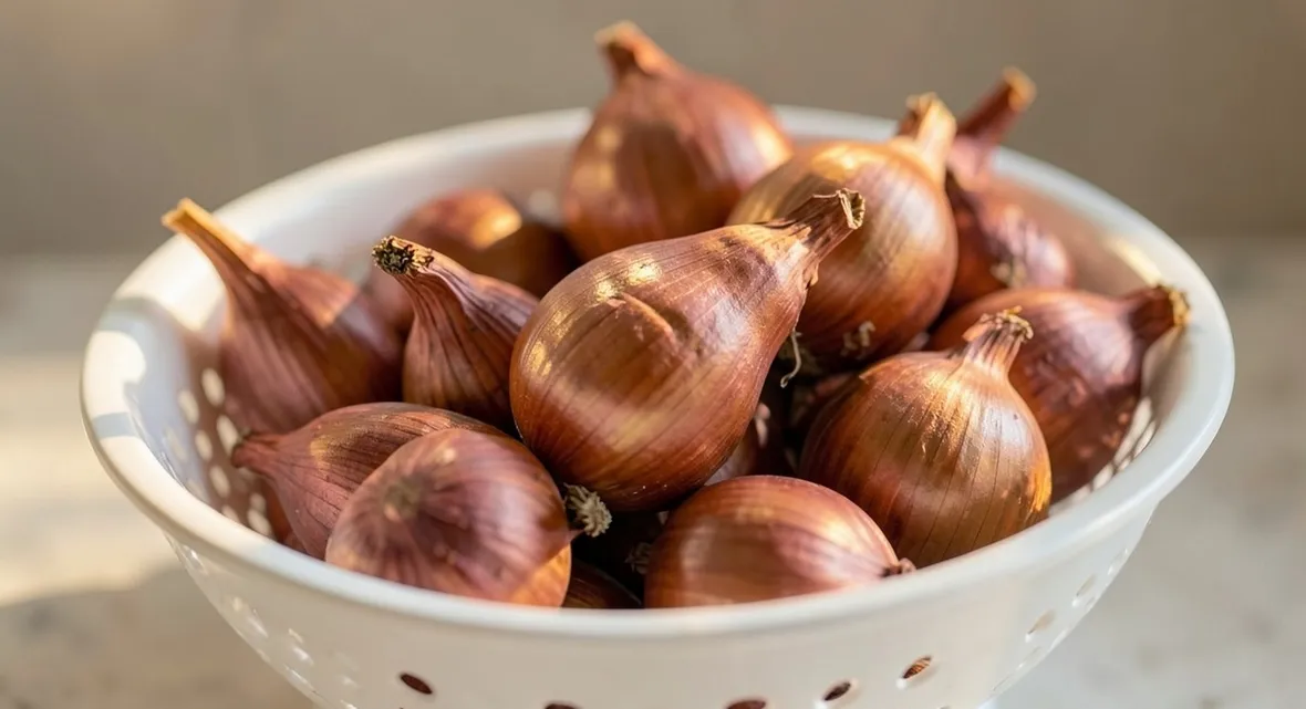 SCALOGNO