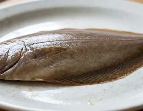 SOGLIOLA