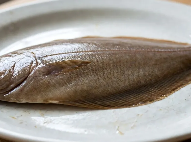 SOGLIOLA