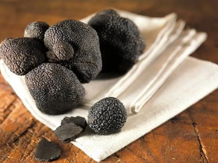 TARTUFO NERO