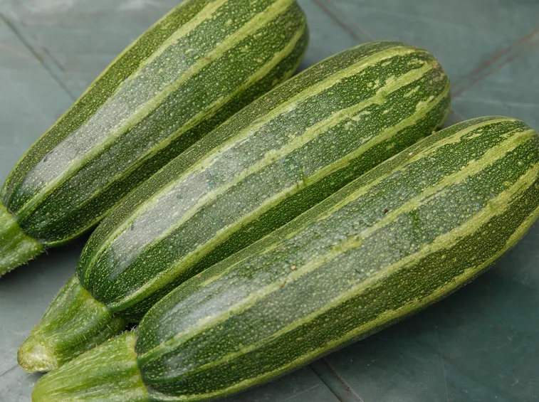 zucchine