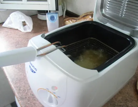Friggitrice elettrica