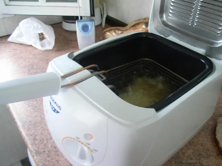 Friggitrice elettrica