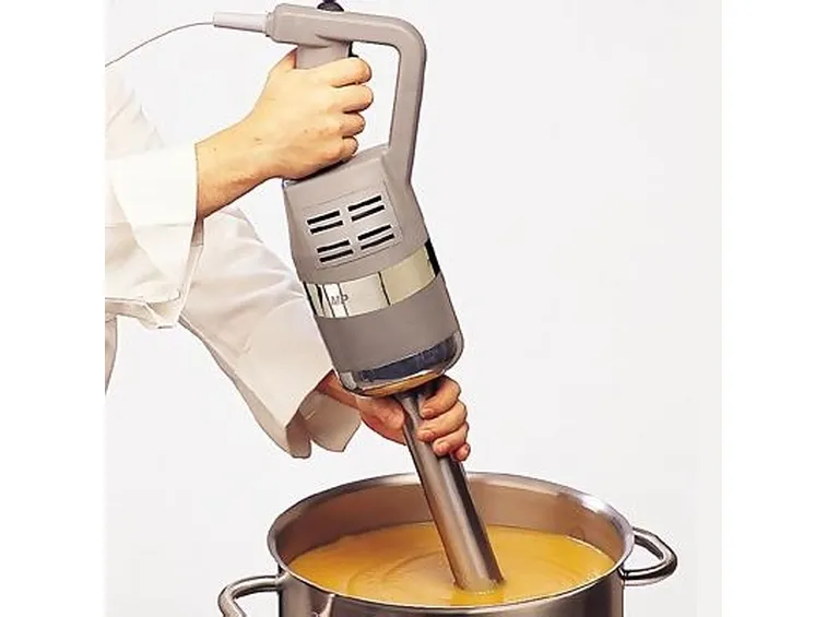 Mixer a immersione