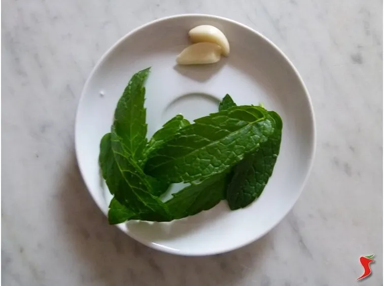 menta e aglio