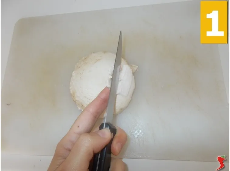 I funghi