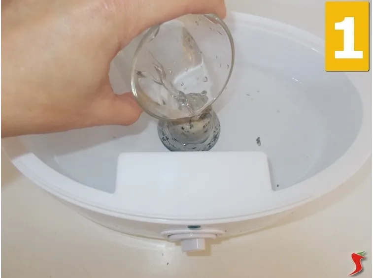 Preparate la vaporiera