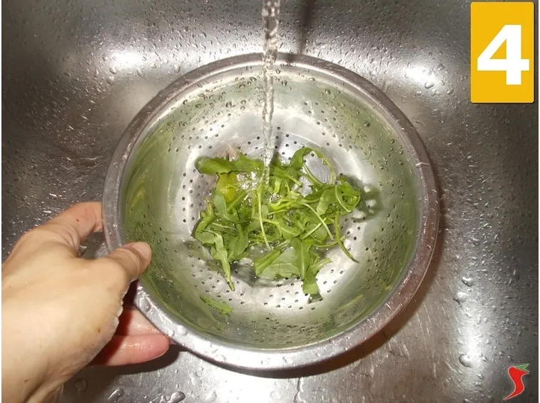 La rucola