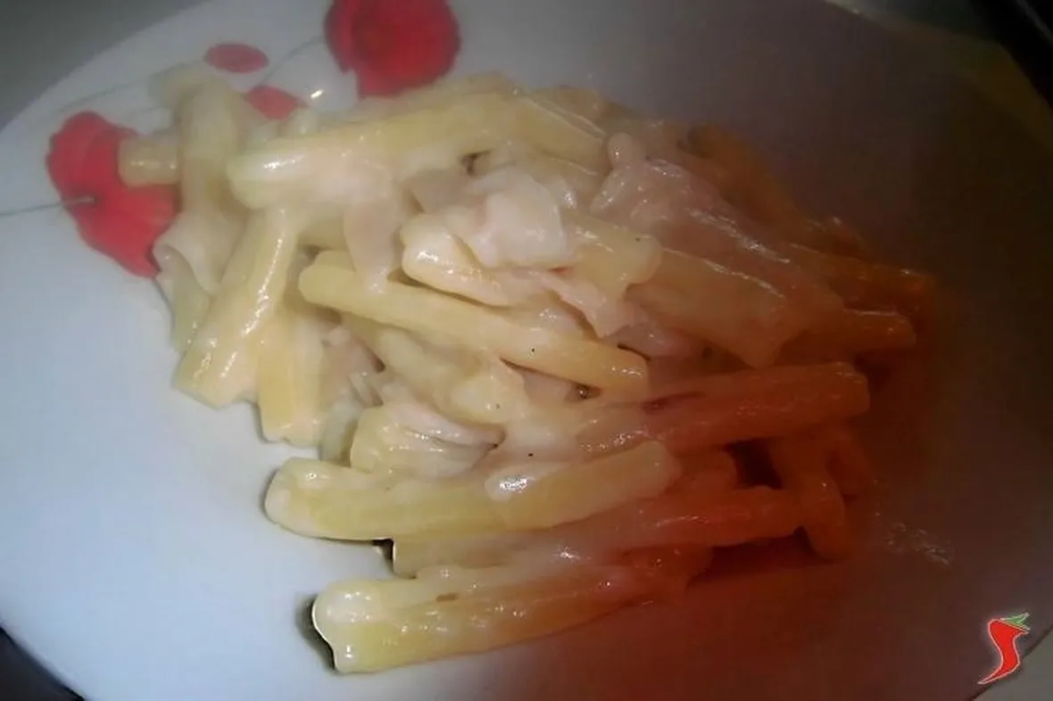 Pasta con besciamella al prosciutto