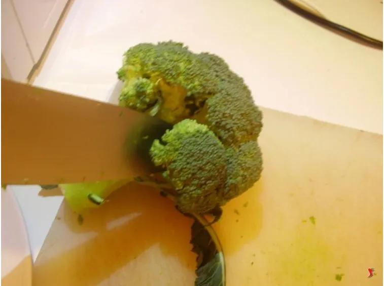 broccoli