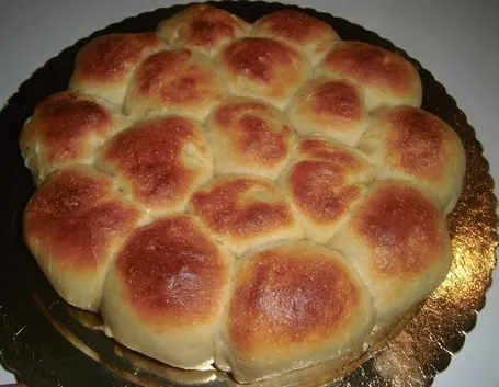 danubio salato