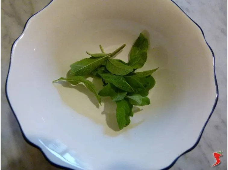 salvia