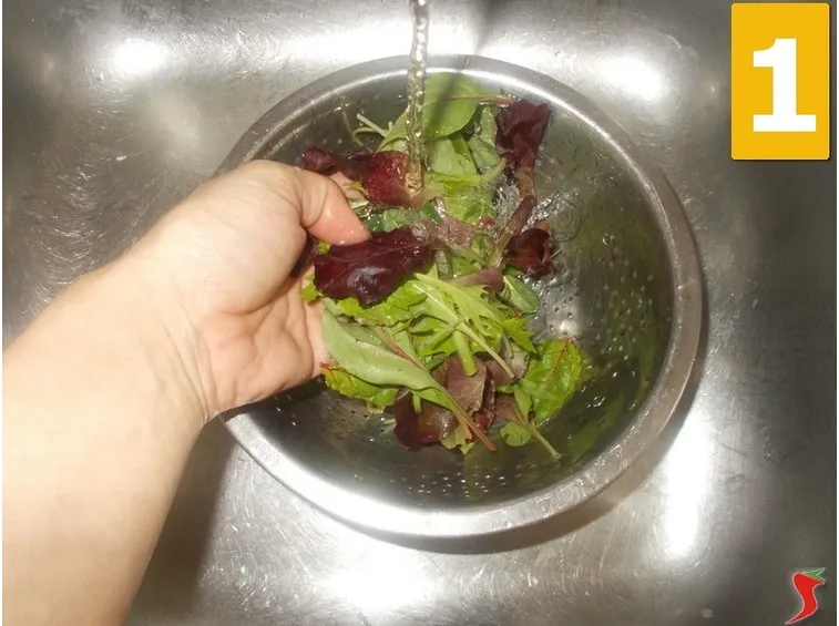Lavorate la rucola