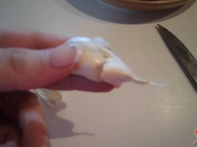 aglio