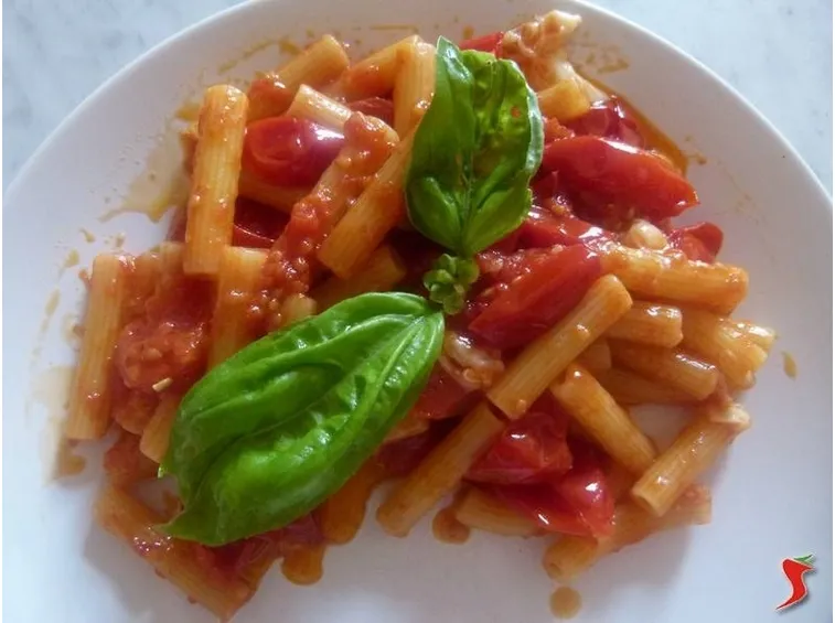 pasta con pomodoro e mozzarella