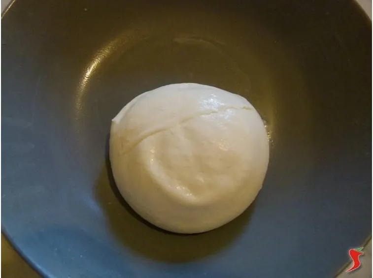 mozzarella