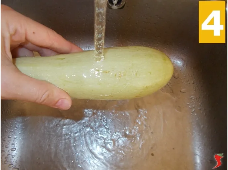 La zucchina