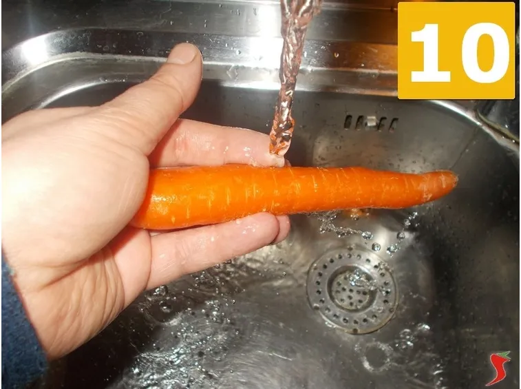 carota