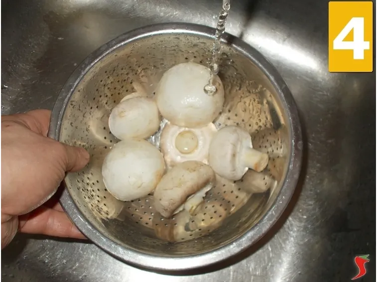I funghi