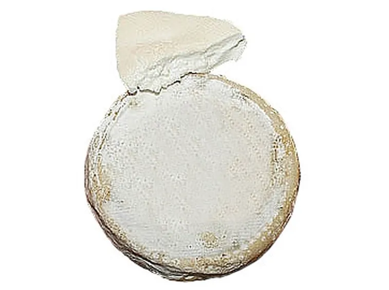 Biancospino 