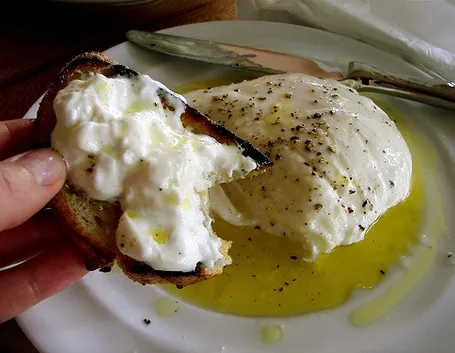 burrata