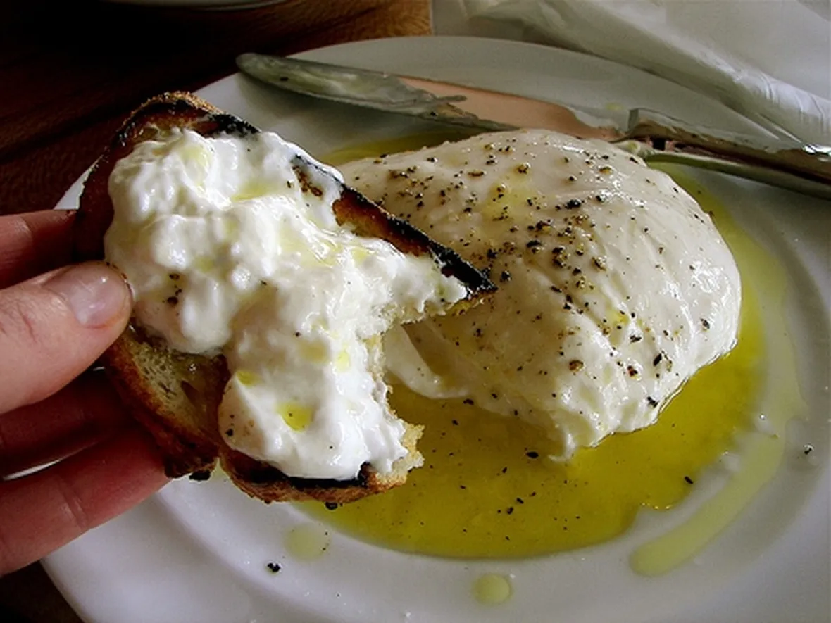 burrata