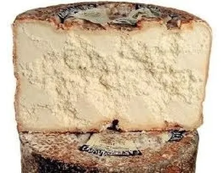 Castelmagno