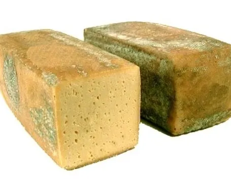 Il formaggio Dobbiaco