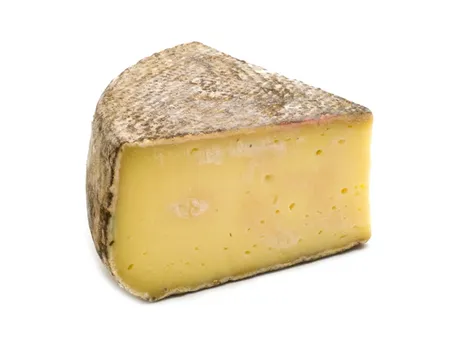 fontina